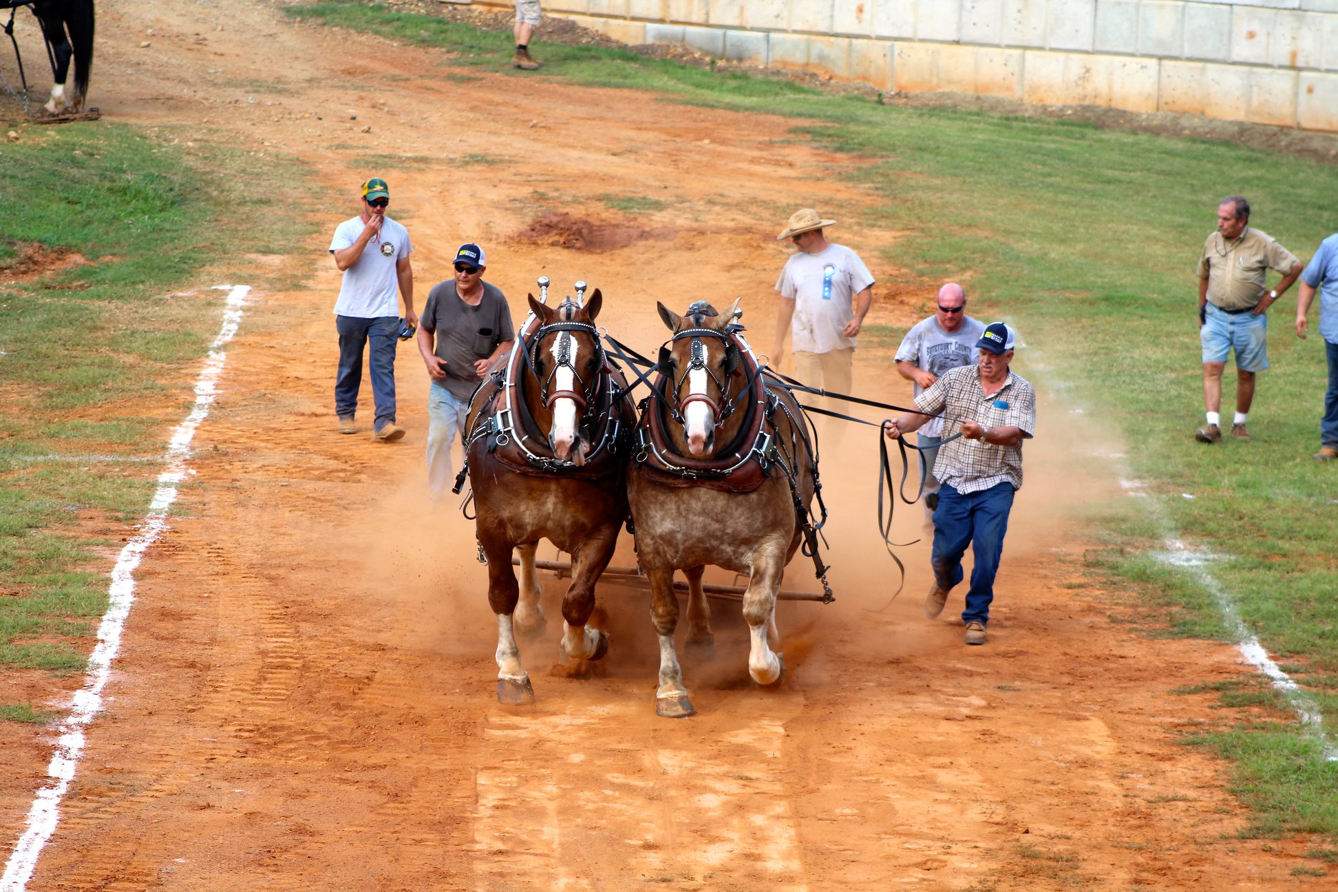 SouthEast Old Threshers Reunion Denton Farmpark