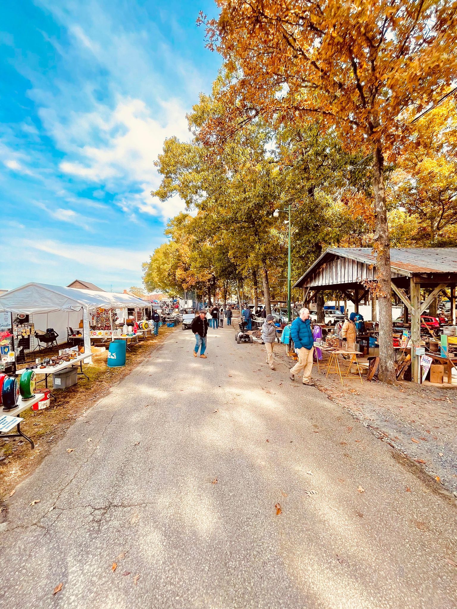 Carolina Pickers Antique Festival & Swap Meet Denton Farmpark