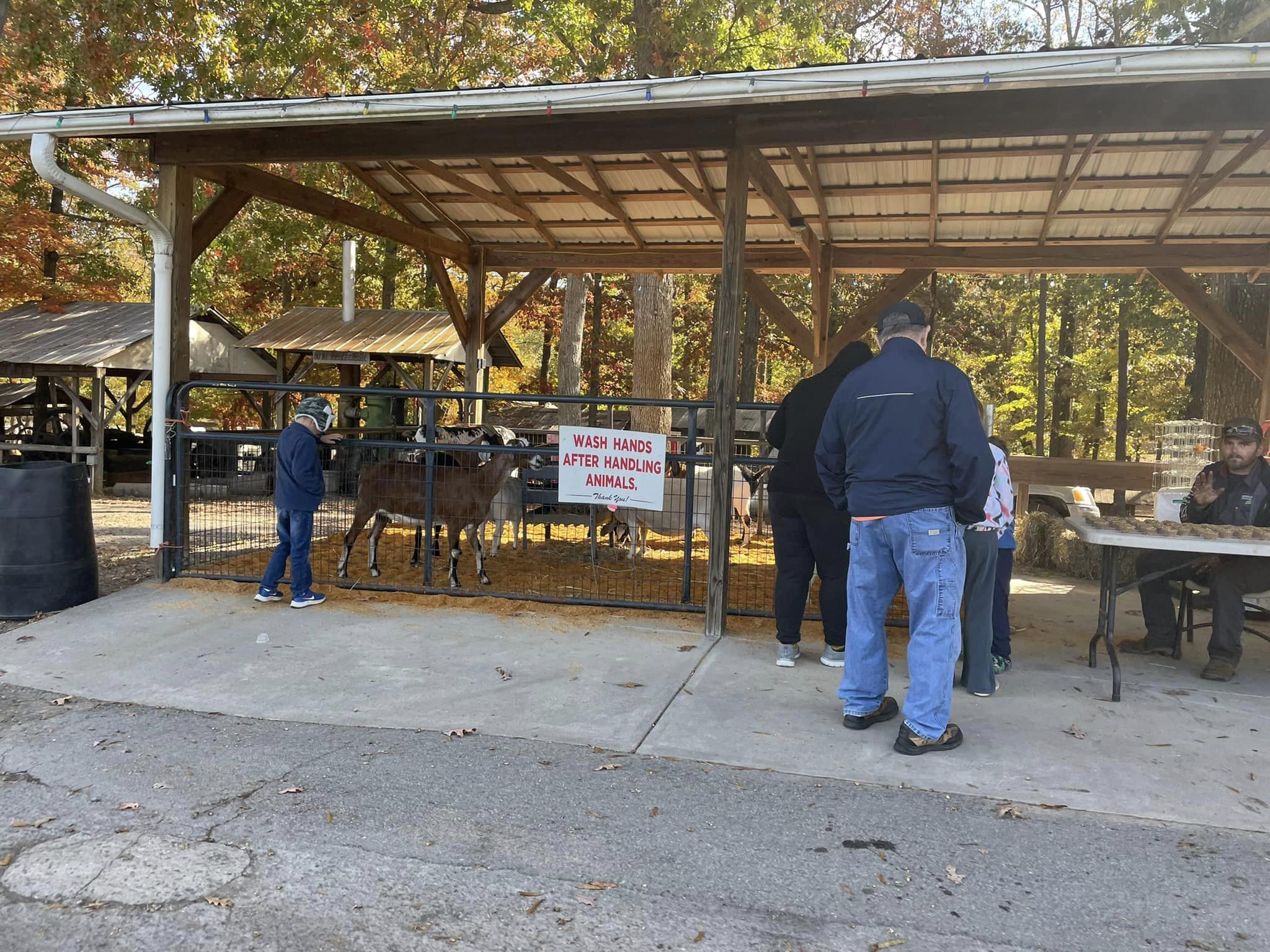 Fun on the Farm Denton Farmpark